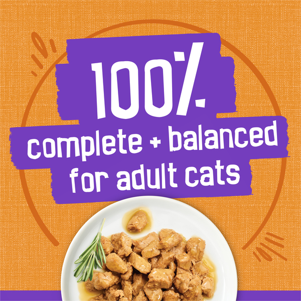 ContentPlus Image 4