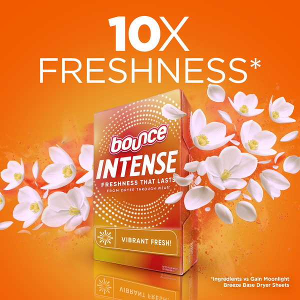 ContentPlus Image 4