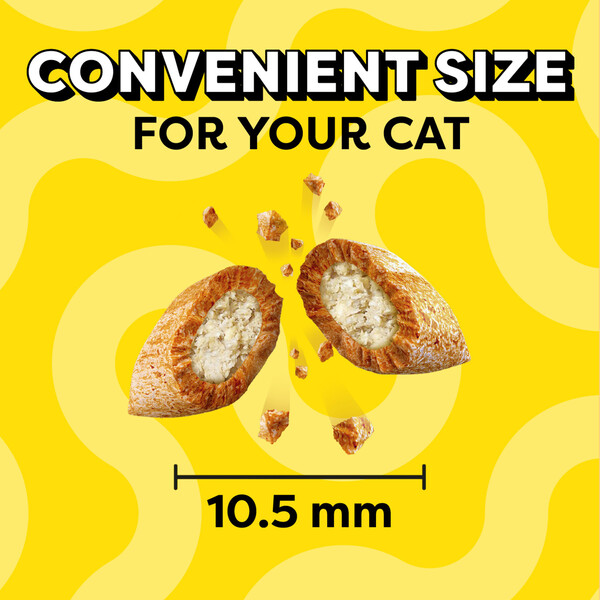 ContentPlus Image 2