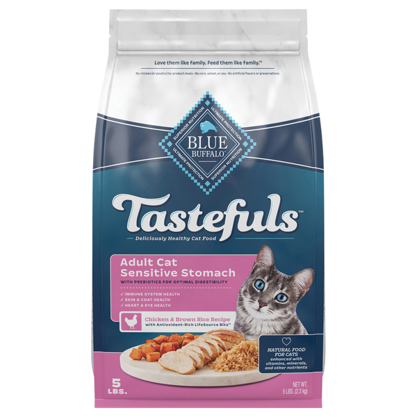 When to stop feeding cats kitten food cheap