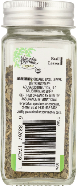 Back of Pack