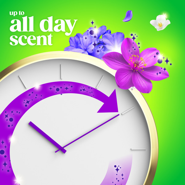 ContentPlus Image 5