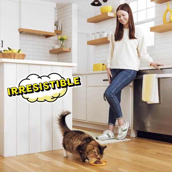 ContentPlus Image 2