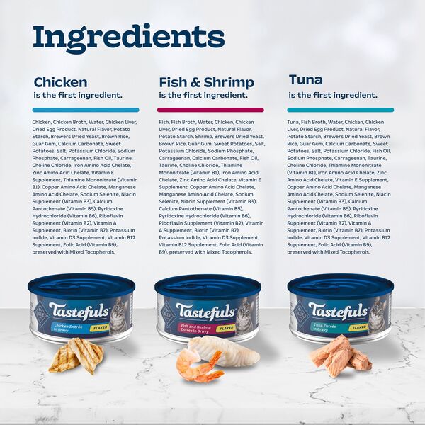 ContentPlus Image 4