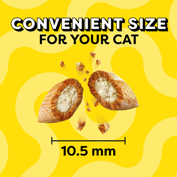 ContentPlus Image 2