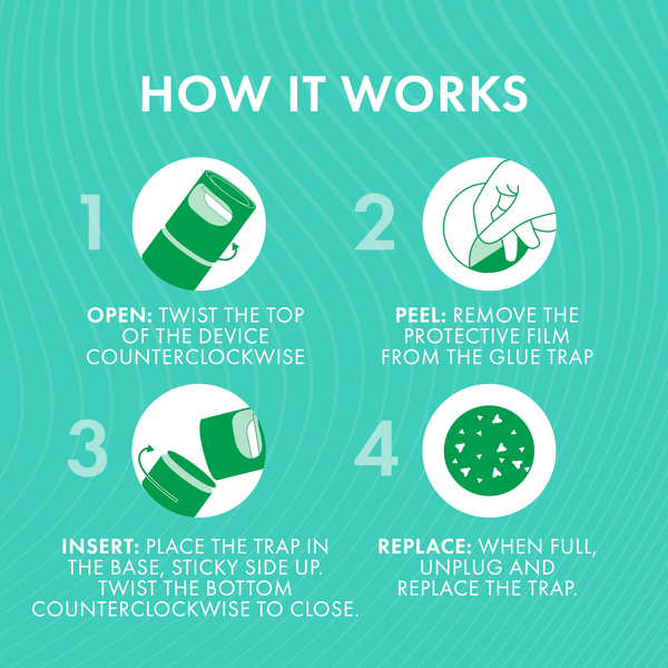 ContentPlus Image 6