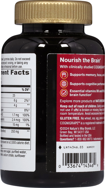 Back of Pack
