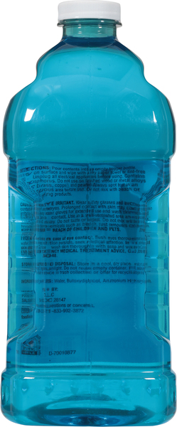 Back of Pack