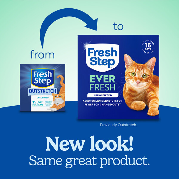 ContentPlus Image 1