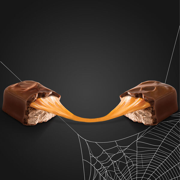 ContentPlus Image 2