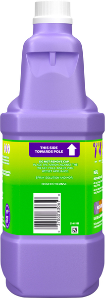 Back of Pack