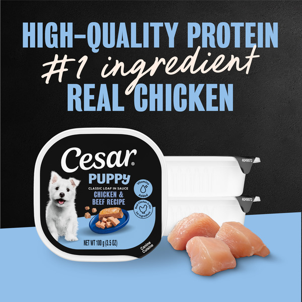 ContentPlus Image 1