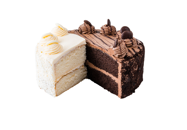 ContentPlus Image 4