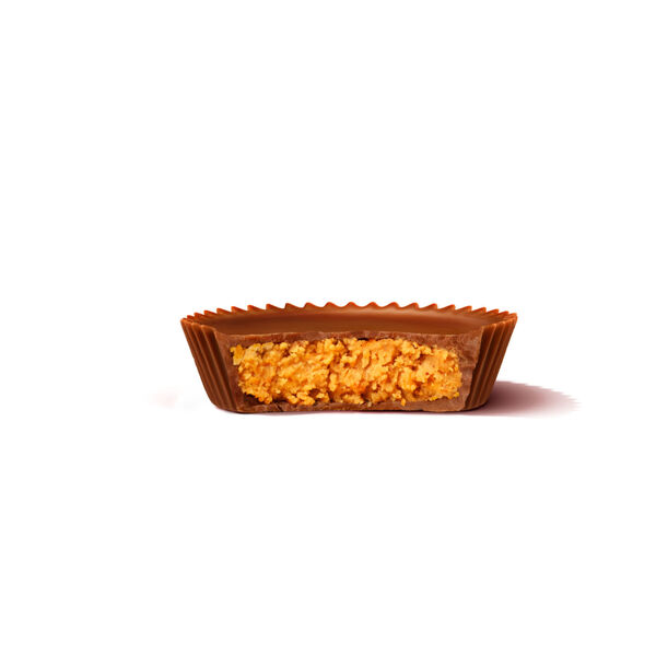 ContentPlus Image 1