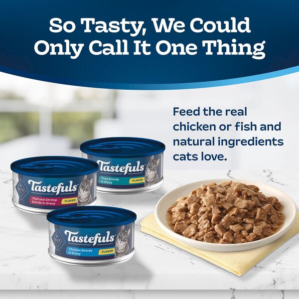 ContentPlus Image 2