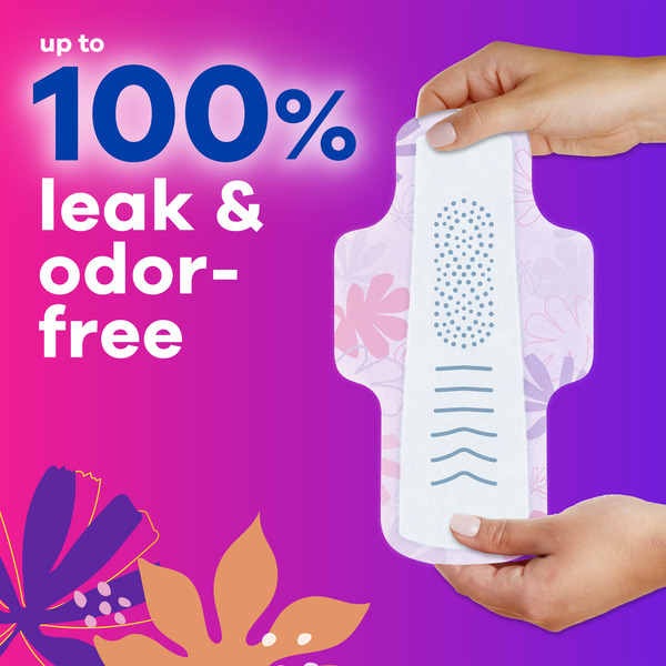 ContentPlus Image 2
