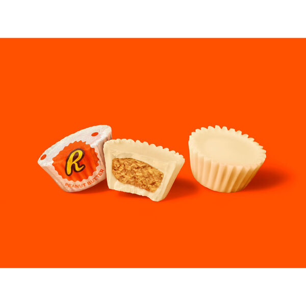 ContentPlus Image 1