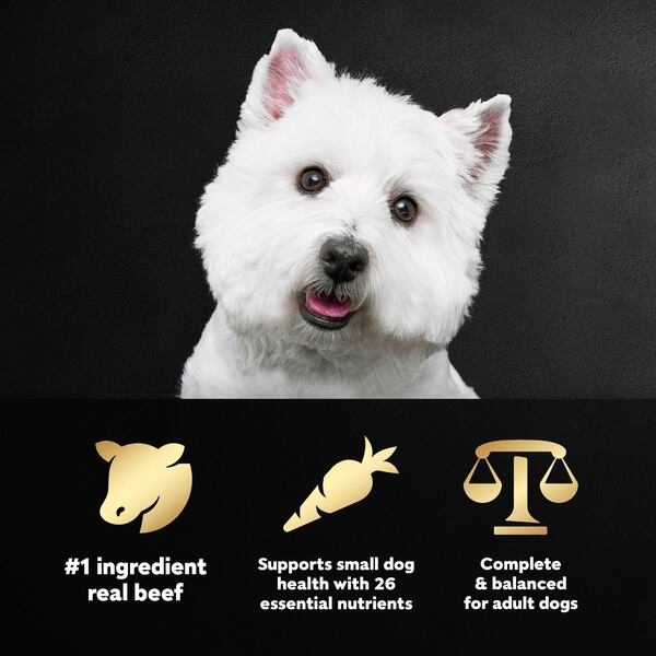 Cesar Small Breed Dry Dog Food Filet Mignon Flavor Spring