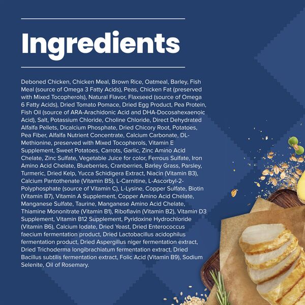 ContentPlus Image 4