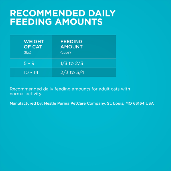 ContentPlus Image 6