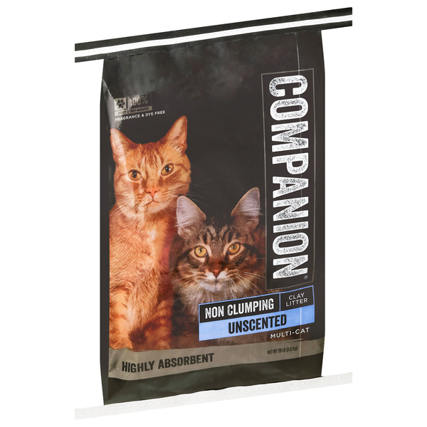 Companion Non Clumping Cat Litter Fragrance Free 20 lb bag