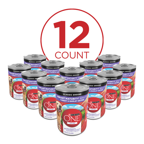ContentPlus Image 2