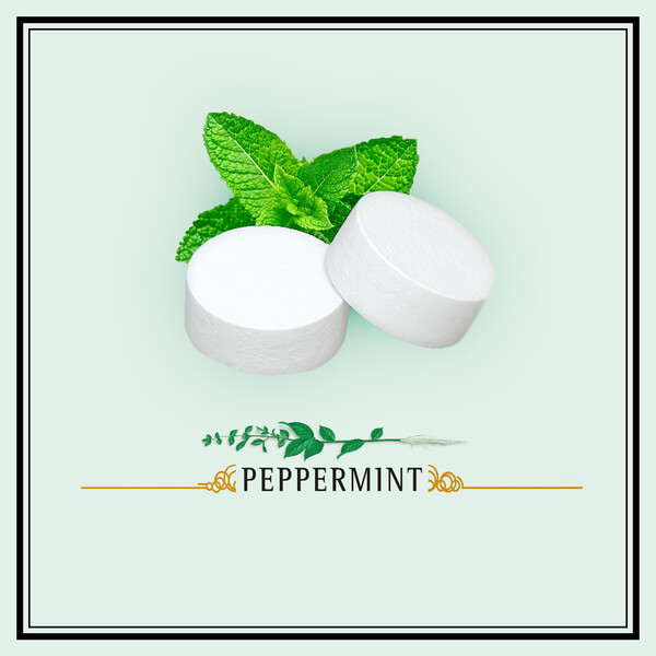 ContentPlus Image 2