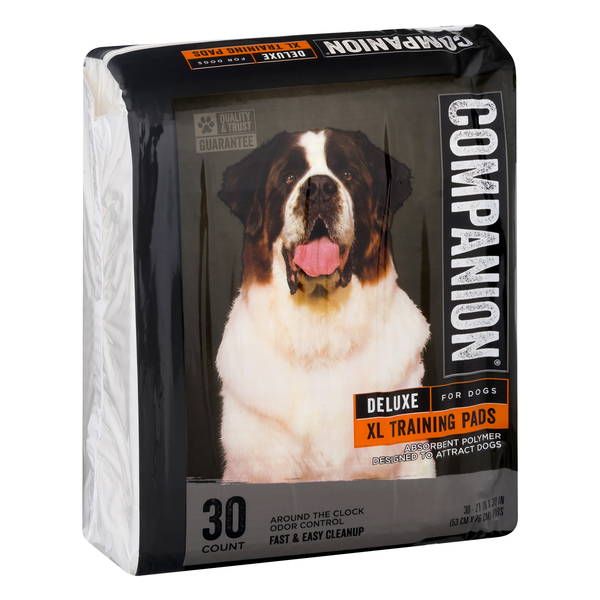 Xl dog training pads 2025