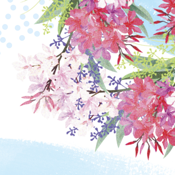 ContentPlus Image 5