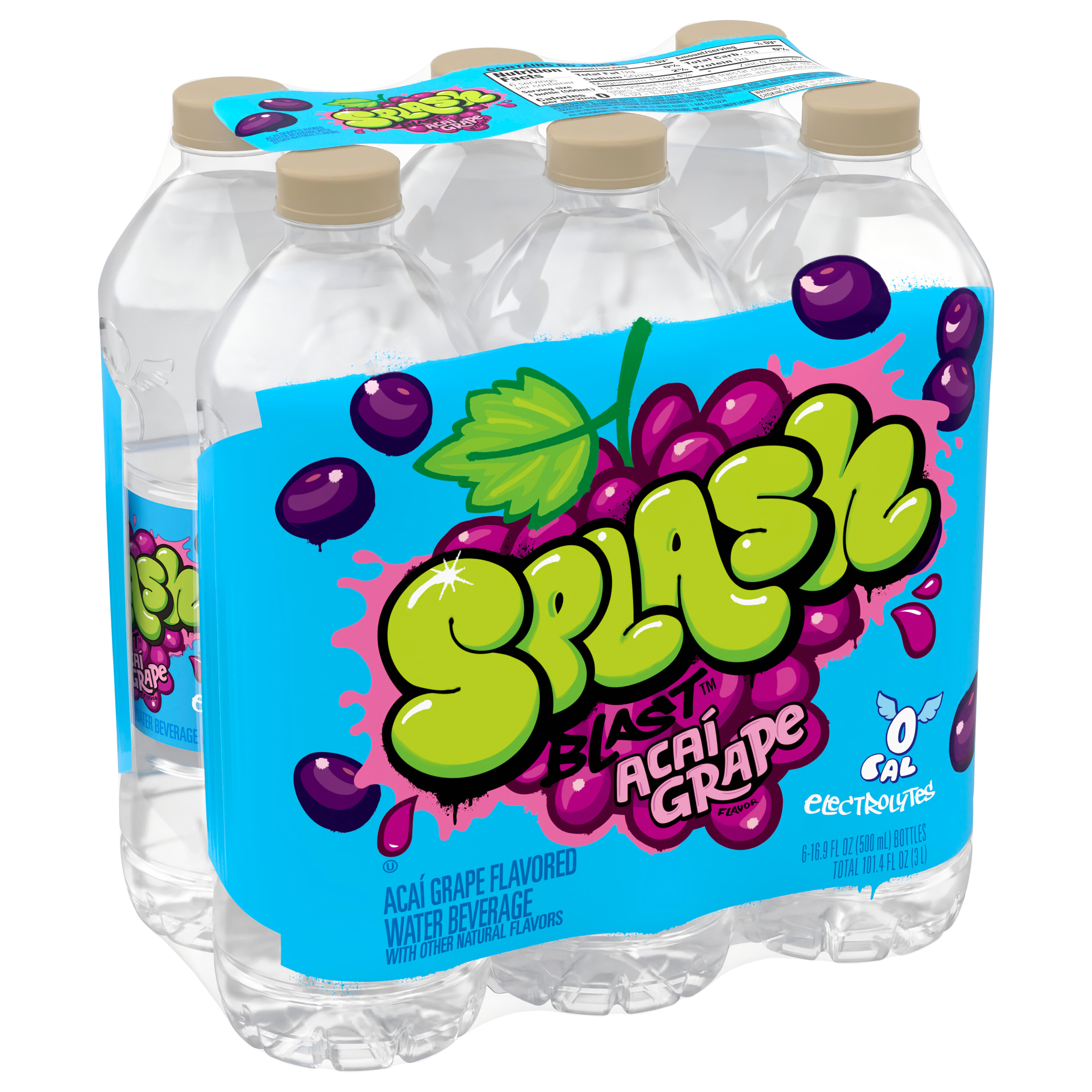 Splash Blast, Raspberry Flavor Water Beverage, 16.9 Fl Oz Plastic