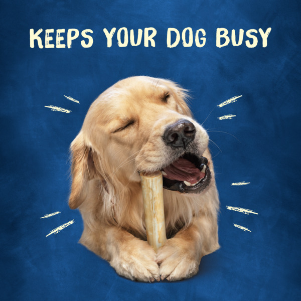 ContentPlus Image 4