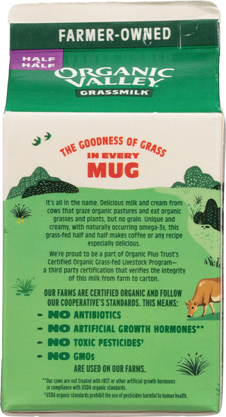 Back of Pack