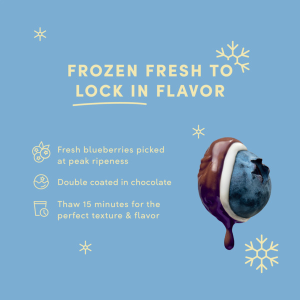 ContentPlus Image 4