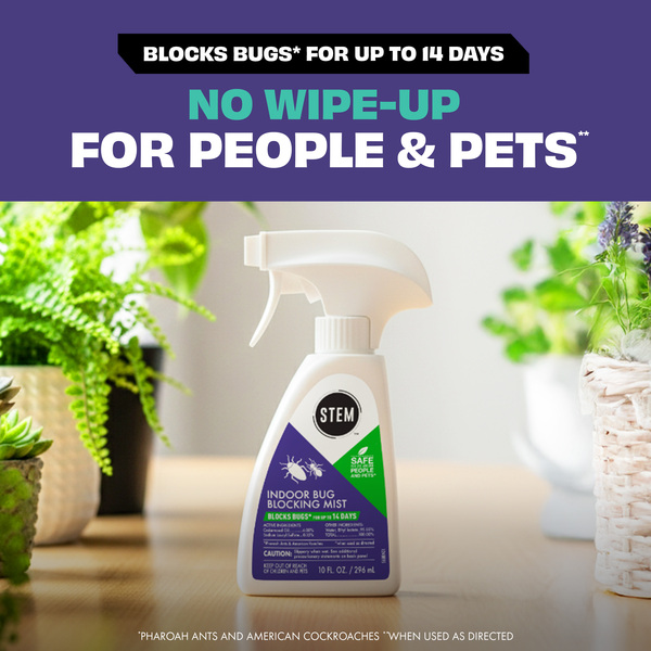 ContentPlus Image 1