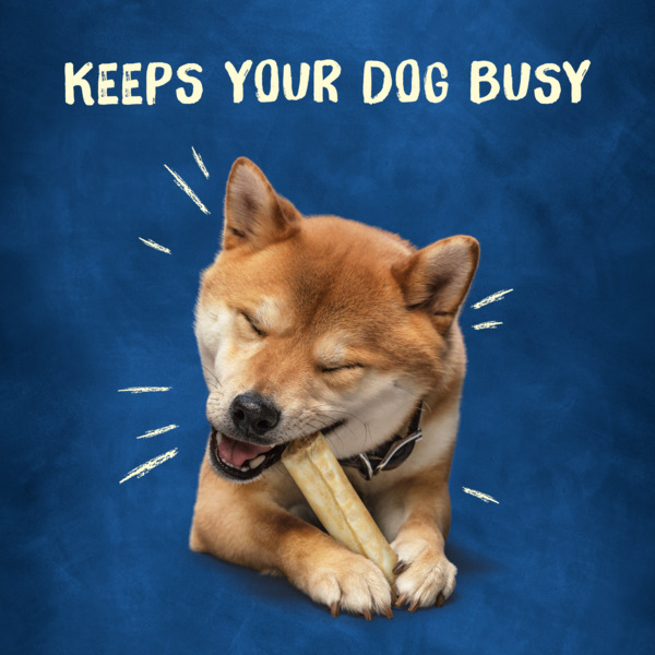 ContentPlus Image 4
