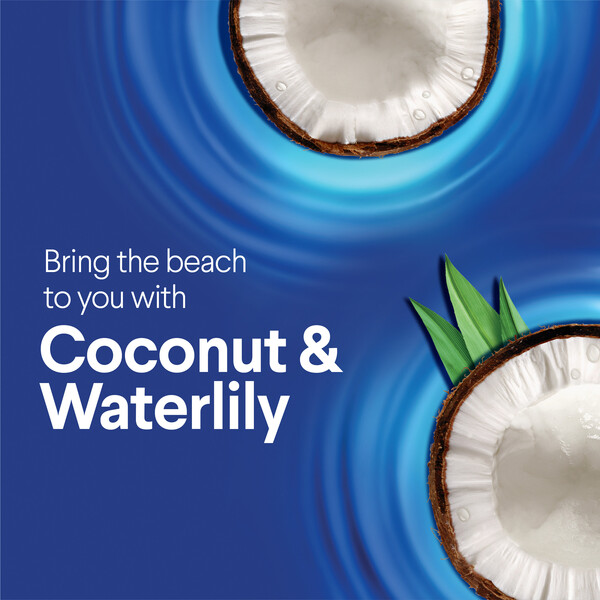 ContentPlus Image 1
