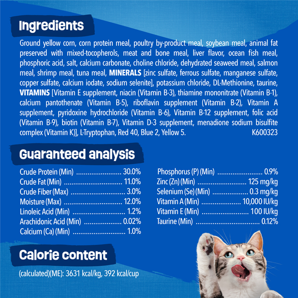 ContentPlus Image 5
