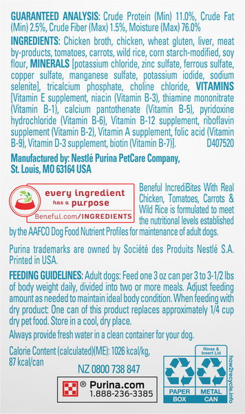 Back of Pack