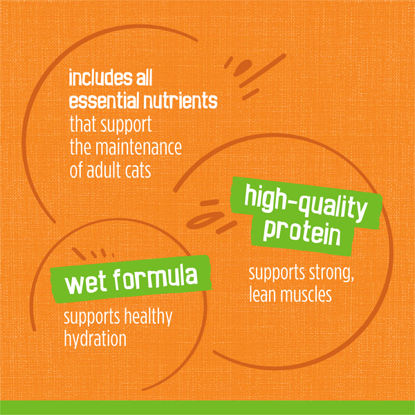 ContentPlus Image 7