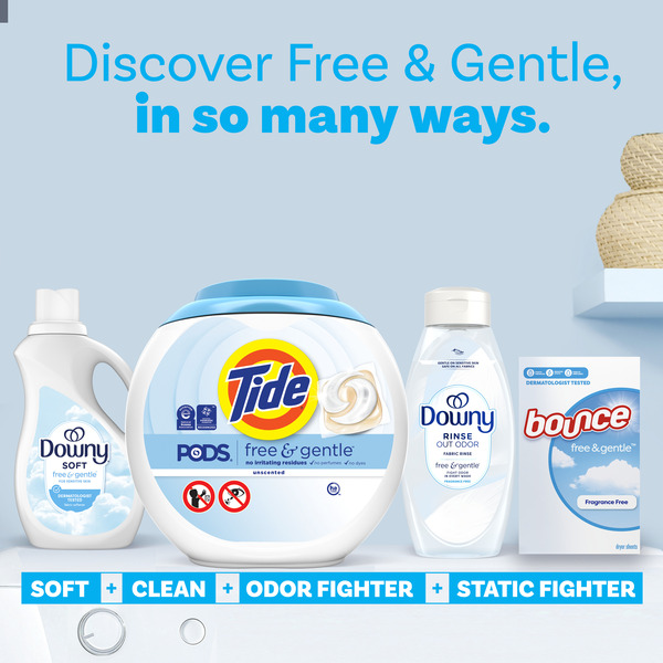 ContentPlus Image 7
