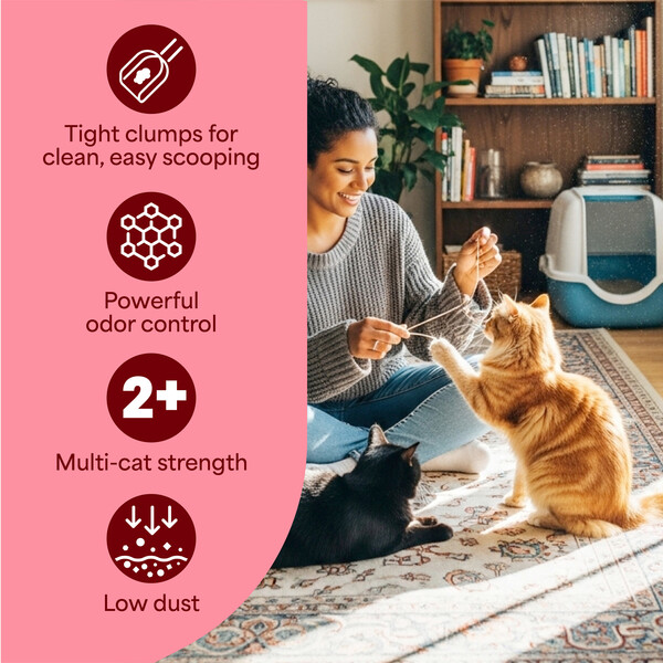 ContentPlus Image 6