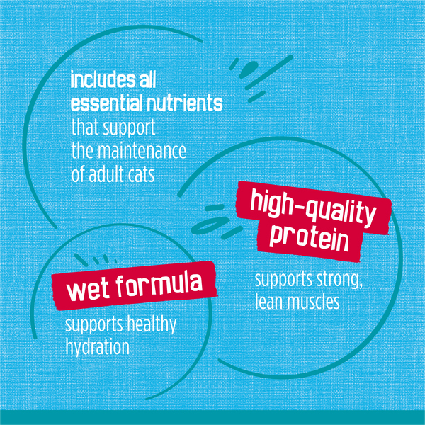 ContentPlus Image 7