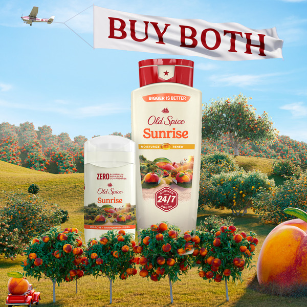 ContentPlus Image 7