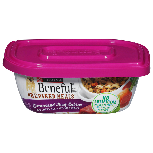 Purina Beneful Prepared Meals Simmered Beef Entree Adult Wet Dog Food 10 oz tub GIANT