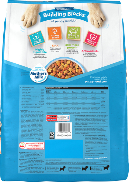 Back of Pack