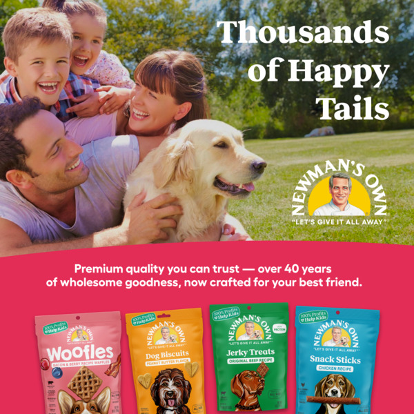 ContentPlus Image 5