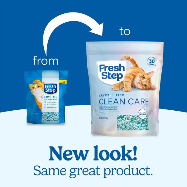 ContentPlus Image 1