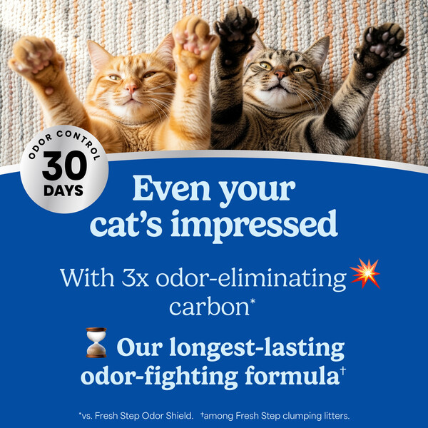 ContentPlus Image 2