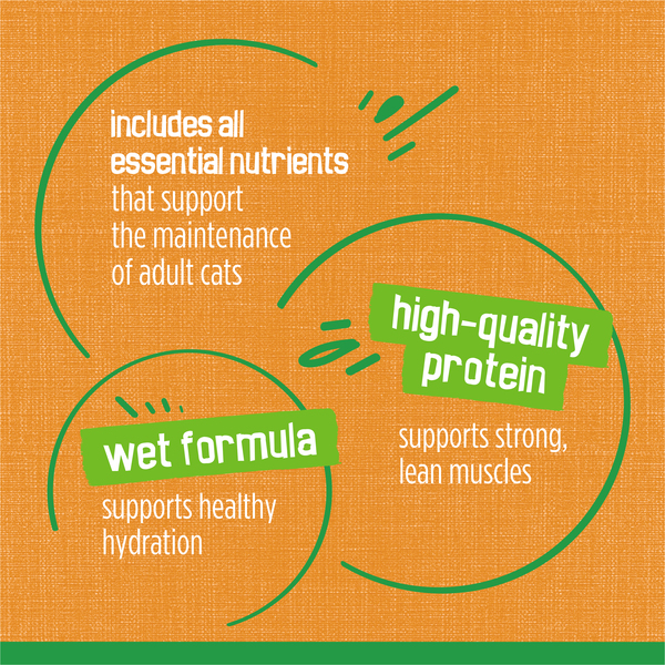 ContentPlus Image 7