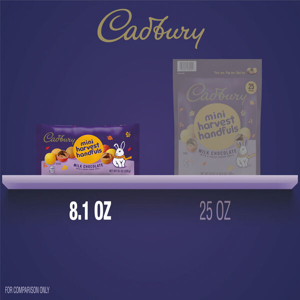 ContentPlus Image 4
